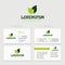 Abstract vector green leaves, logotype concept isolated with business card template. Key ideas is health, beauty