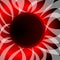 Abstract vector with theme solar eclipse. Wavy rays surround the black circle, in the background fiery glow