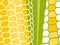 Abstract vegetable design in flat cut out style. Close up image of corn on the cob.