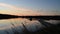 Abstract view of the closeup dandelion beside the lake during sunset through the horizon.