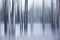 Abstract view of forest during snowfall
