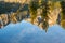 Abstract view of the the Sawtooth Mountains reflected in Stanley Lake. Reflection only, useful for backgrounds