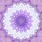 Abstract violet background mandala flora pattern, wild white an