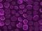 Abstract violet fabric background.