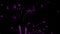 Abstract Violet Firework Background on Black