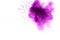 abstract violet powder explosion on white background.