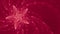 Abstract Viva Magenta PANTONE 18-1750 color of the year 2023 starfish sea creature wallpaper background
