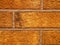 Abstract vivid textured orange and ginger brick wall pattern with artificially aged surface for graphic design, texture, surface