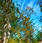 Abstract water reflection, yellow, green and blue