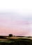 Abstract watercolor background. Blurry field against gentle sunrise sky of pastel shades. Soft gradient from white to lilac to