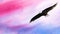 Abstract watercolor background. Eagle soars at sunset or dawn in the sky. Gradient from white to pink to blue. The symbol of