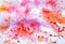 Abstract watercolor bright red orange pink colorful background