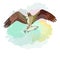 Abstract watercolor draw of eagle soaring in sky with prey fish