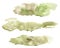 Abstract watercolor hand painted beige and green lose form granulated spot set isolated