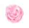 Abstract watercolor loose pink color circle