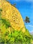 Abstract watercolor mountain landscape. Hillside. Lonely pine tree on a background the blue sky. Travel and vacation concept.