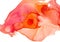 Abstract watercolor pink and peach splash with orange oblong bird-shaped blotch