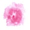 Abstract watercolor splash. watercolor drop pink isolated blot for your design art