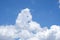 Abstract white  cloud like puddle dog animal flufy shape on blue sky background. beauty high natural in summer season