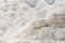 Abstract white texture background. Travertine Terrace, Mammoth Hot Springs, Yellowstone.