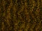 Abstract wild leopard skin fabric with grunge surface