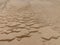 Abstract wind and sand formations on the beach