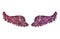 Abstract wings of purple glitter on white background - interesting and beautiful element