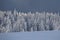 Abstract winter landscapes in the mountains on a very cold winter morning with fog in the sky