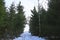 Abstract winter season background, snow-covered forest track in fir forest