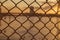 Abstract Wire Rod Wire Mesh background Warm sunshine View of river bridge