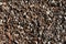 Abstract wood chip weathered mulch