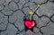 Abstract yellow flowers in red heart shape on crack ground nature