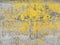 Abstract yellow and gray color concrete textured background