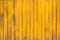 Abstract yellow wood texture and background