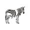 Abstract zebra  design