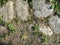 Abstraction background, texture. An old cobblestone pavement with sprouted grass, illuminated by the sun on a hot day. Stone