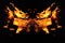 Abstraction, burning fire with sparks. Mystical type of butterfly or animal head