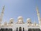 Abu Dhabi Sheikh Zayed Binsultan Nahyan Mosque