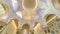 ABU DHABI, UAE - MAY 2017: Timelapse of luxurious interior the Sheikh Zayed Grand Mosque in UAE, Abu Dhabi