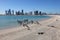 Abu Dhabi view from Saadiyat Island beach