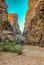 Abu Khashaba siq at Wadi Rum desert in jordan