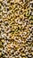 Abundance of Cashews Top View on Smooth Surface Background