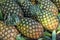 Abundance fresh juicy pineapple fruit background in yellow and green selling in local market