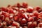 Abundance of garnet grains/abundance of garnet grains. selective focus