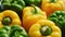 Abundance of green and yellow peppers