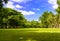 The abundance of trees, blue skies and lawn at Sri Nakhon Khuean Khan Park and Botanical Garden