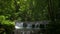 Abundance of tropical rainforest with fresh water flowing through the rocks surrounded by lush foliage plants.