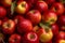 Abundant harvest, full basket of red organic apples with yellow leaves