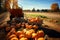 Abundant harvest of pumpkins in sunny day autumn, rural. AI generated