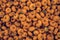 Abundant selection of miniature pumpkins in an array of orange hues for wallpapers